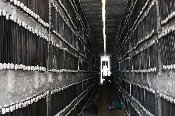 重汽電阻帶 重汽電阻帶