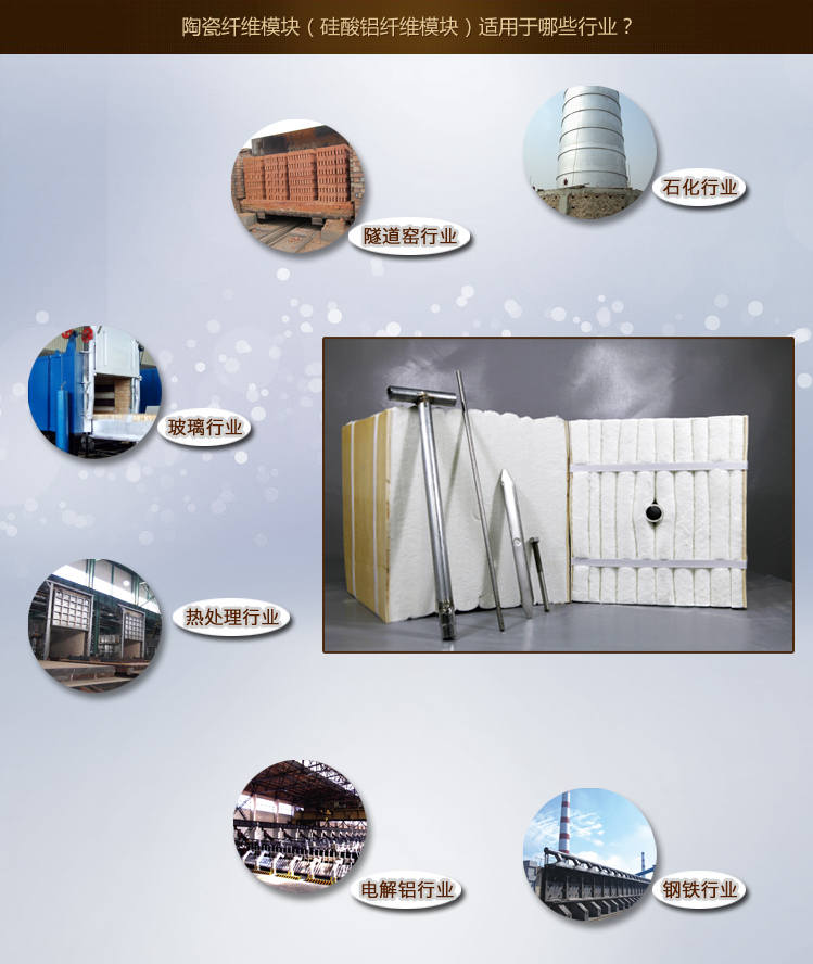 鋼鐵石化行業(yè)專(zhuān)用陶瓷纖維模塊